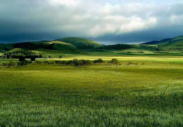 張北草原音樂節(jié)攻略介紹時(shí)間地點(diǎn)