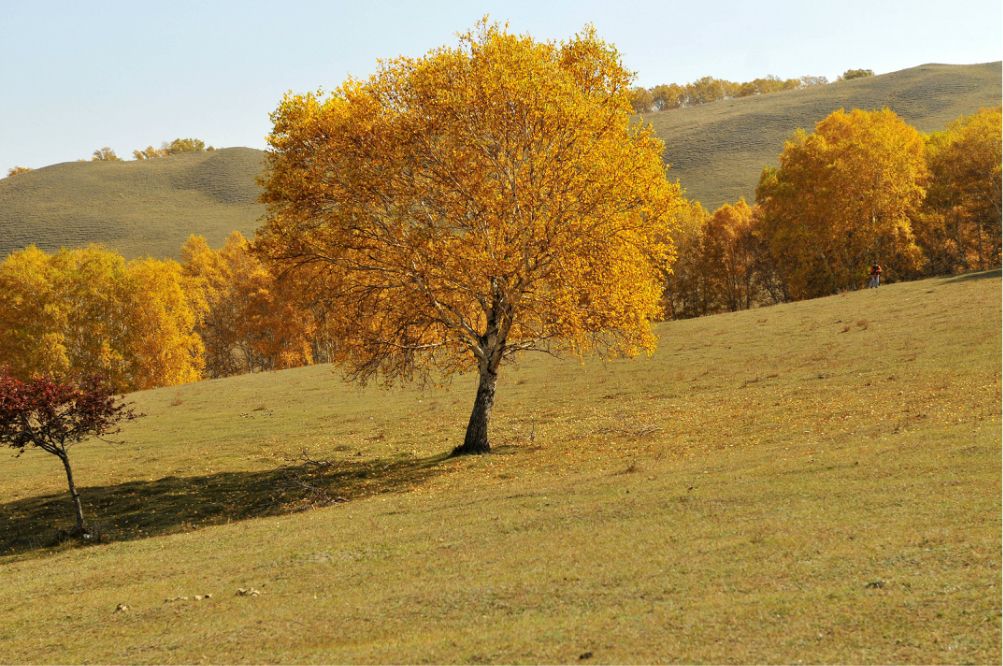 多彩的烏蘭布統(tǒng)-對(duì)塞罕壩紅山軍馬場(chǎng)閃電游
