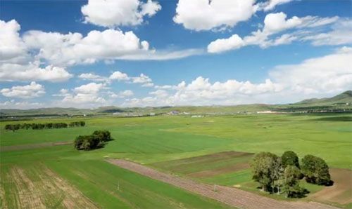 視頻: 航拍 豐寧壩上草原