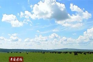 九月的木蘭圍場 壩上深秋帶來的驚艷