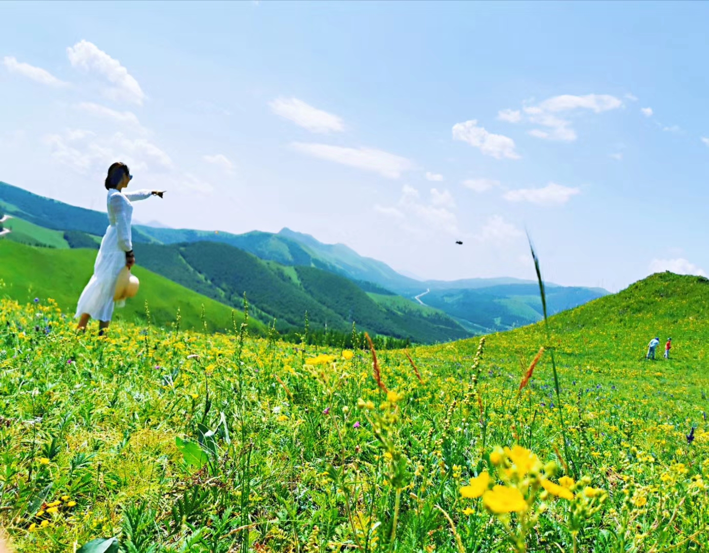 尋夢(mèng)烏蘭布統(tǒng) 木蘭圍場(chǎng) 塞罕壩