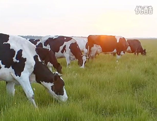 視頻: 沽源縣旅游介紹 （下）