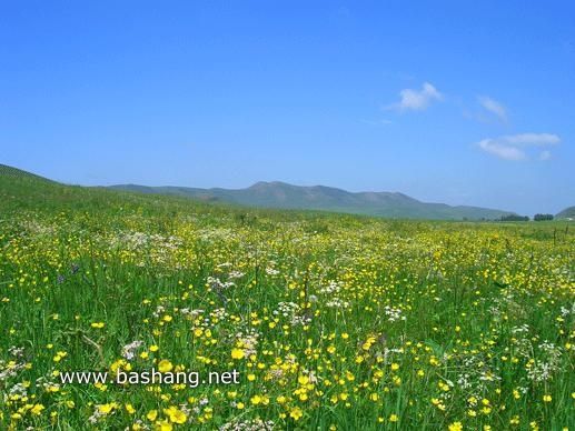 京北第一草原 即豐寧壩上草原
