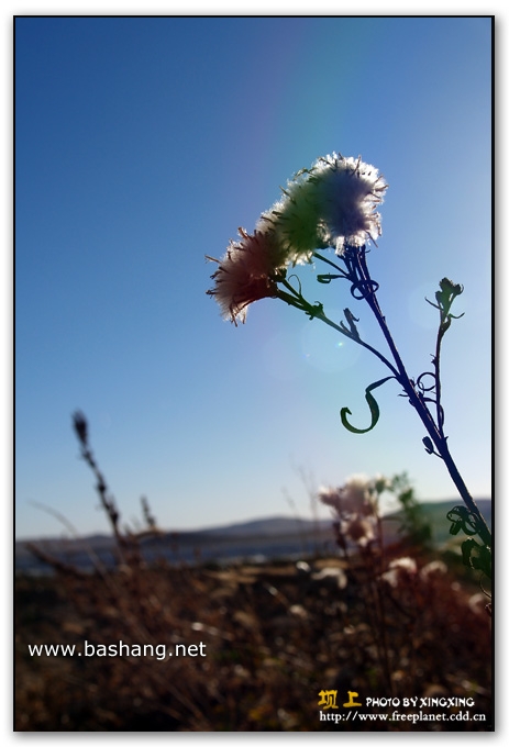 10月記憶拾零&mdash;&mdash;遲來的壩上游記