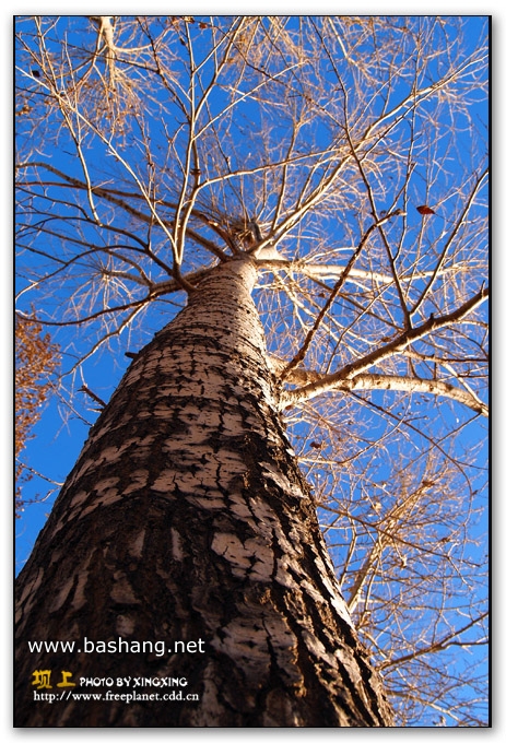 10月記憶拾零&mdash;&mdash;遲來的壩上游記