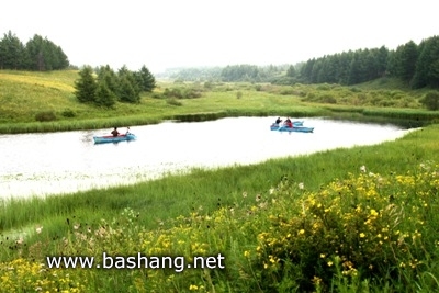 泰豐湖-塞罕壩國家森林公園
