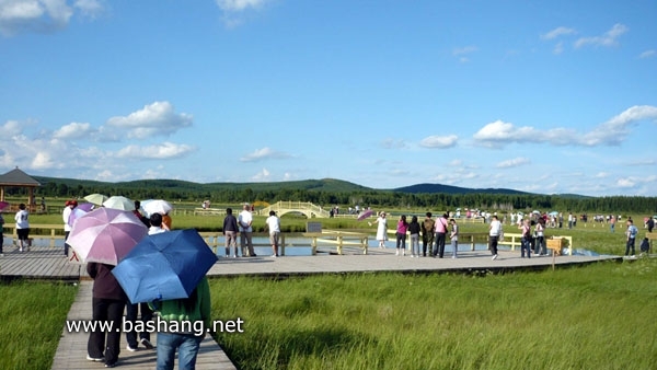 塞罕壩國家森林公園