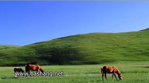 十二座連營風景區