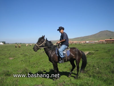 草原騎馬