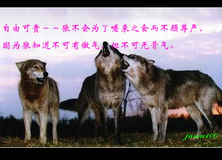 蒙古民族的圖騰崇拜