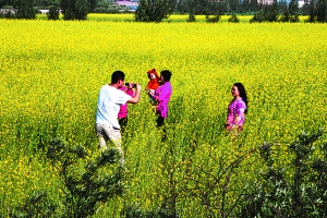 京北第一草原 大汗行宮