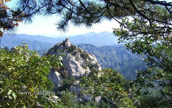 六里坪國(guó)家森林公園