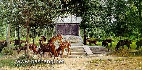 承德避暑山莊 綠毯八韻碑