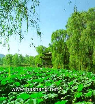 承德避暑山莊 芳渚臨流