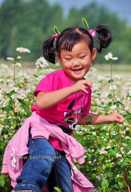 8月6日豐寧壩上游