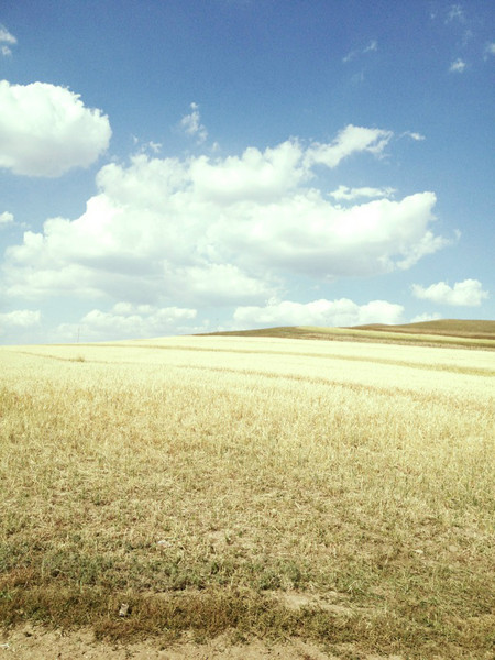 豐寧壩上6人行 騎馬