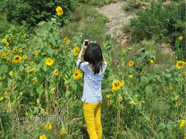 豐寧壩上景點圖片