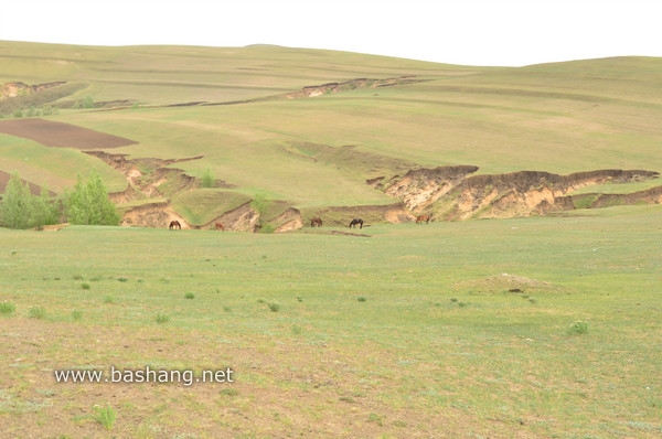 豐寧圖片 豐寧圖片