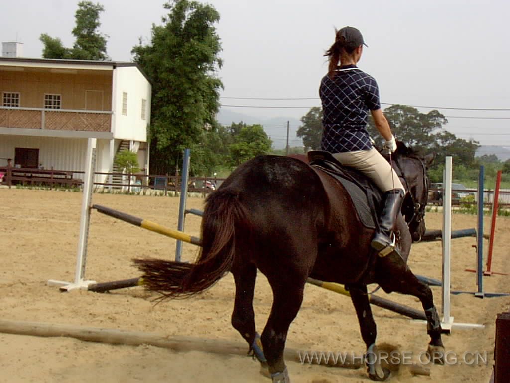馬術(shù)運(yùn)動(dòng)好處 學(xué)習(xí)瞬間的判斷力與克服恐懼