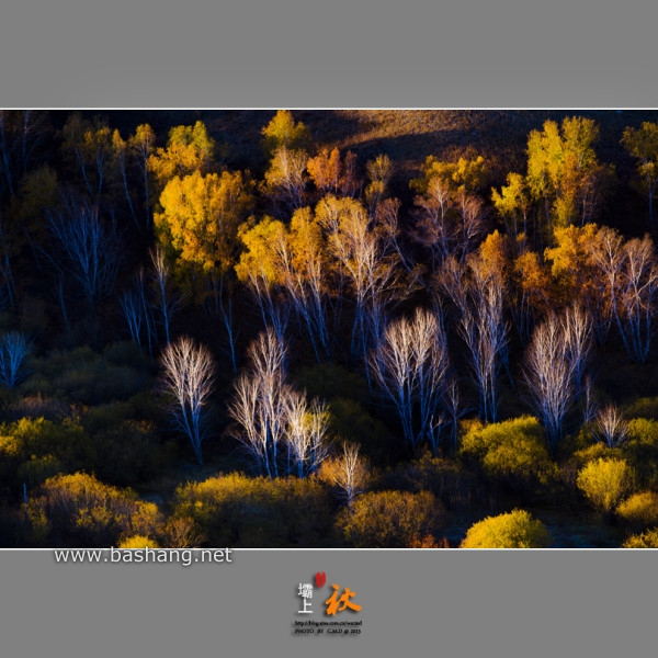 烏蘭布統自助游圖片