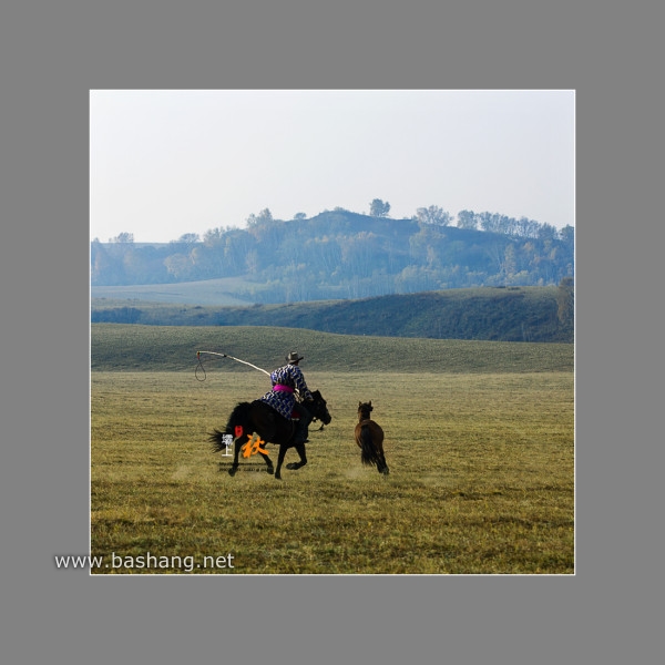 烏蘭布統自助游圖片