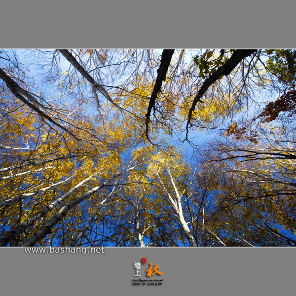 烏蘭布統自助游圖片