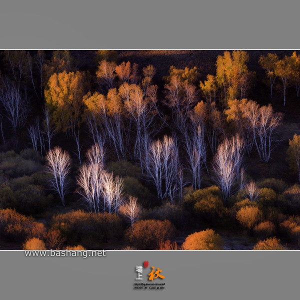 烏蘭布統自助游圖片