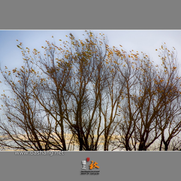 烏蘭布統旅游攻略圖片