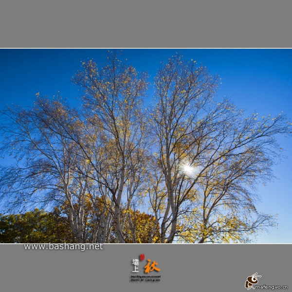 烏蘭布統景點圖片