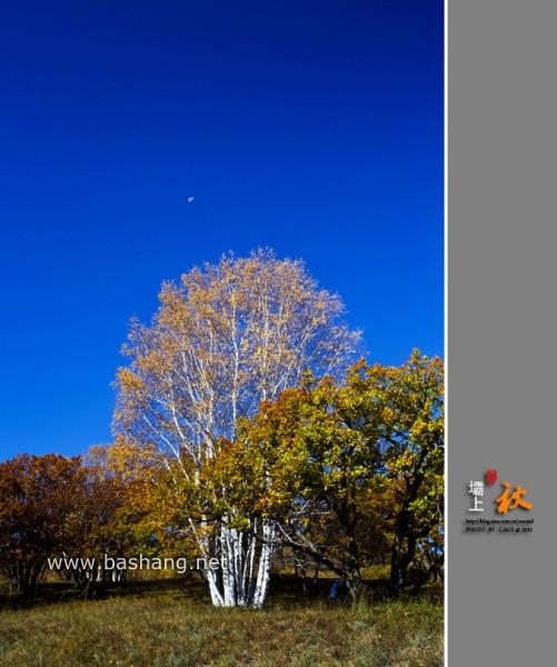 烏蘭布統自助游圖片