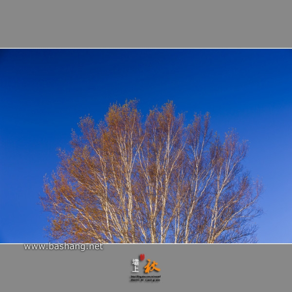 烏蘭布統旅游攻略圖片