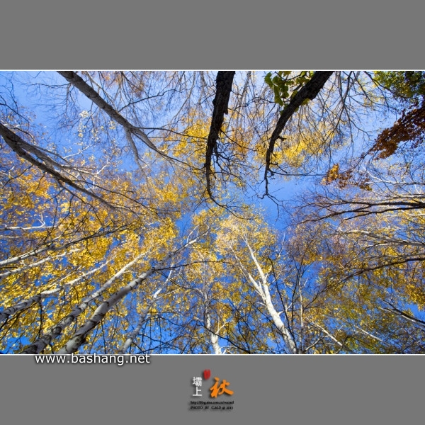 烏蘭布統旅游攻略圖片