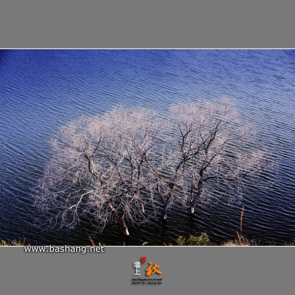 烏蘭布統景點圖片