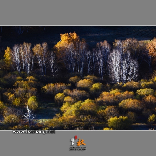 烏蘭布統景點圖片