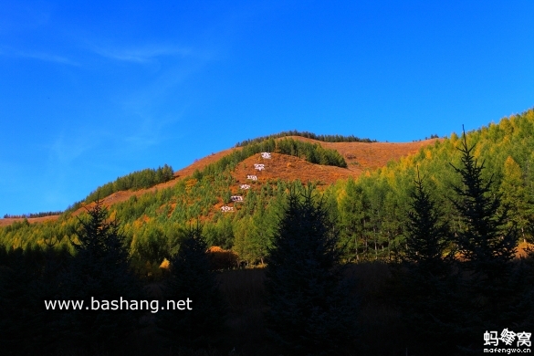 烏蘭布統(tǒng)自助游圖片