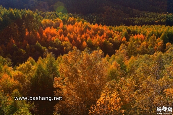 烏蘭布統(tǒng)圖片