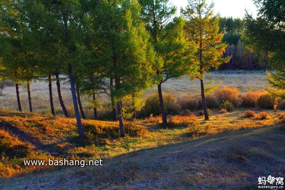 烏蘭布統(tǒng)旅游攻略圖片