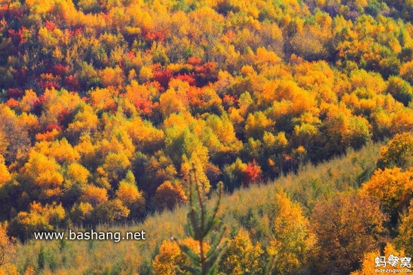 烏蘭布統(tǒng)圖片