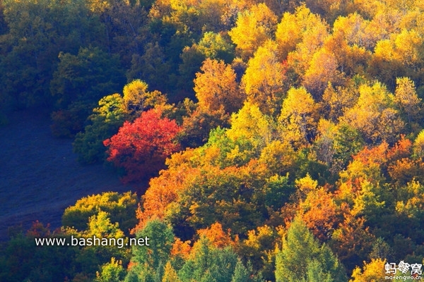 烏蘭布統(tǒng)景點圖片