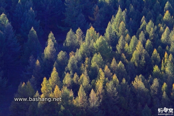 烏蘭布統(tǒng)旅游攻略圖片