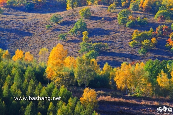 烏蘭布統(tǒng)自助游圖片