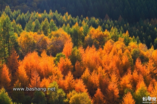 烏蘭布統(tǒng)圖片