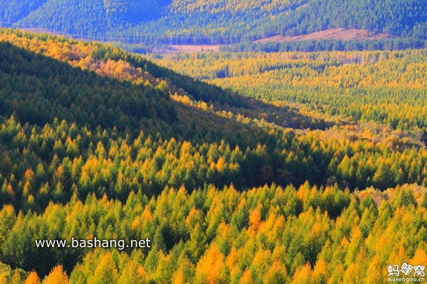 烏蘭布統(tǒng)旅游攻略圖片