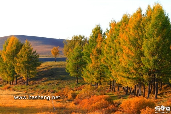 烏蘭布統(tǒng)景點圖片