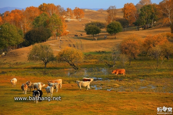 烏蘭布統(tǒng)圖片