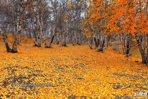 烏蘭布統(tǒng)自助游圖片
