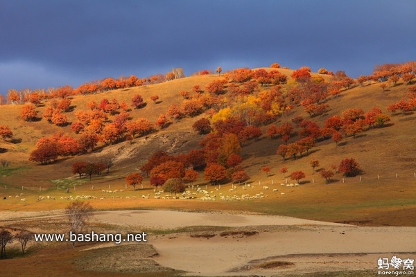 烏蘭布統(tǒng)自助游圖片