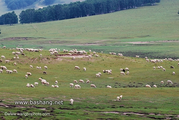 木蘭圍場景點圖片