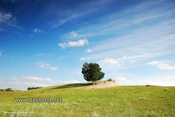 木蘭圍場自助游圖片