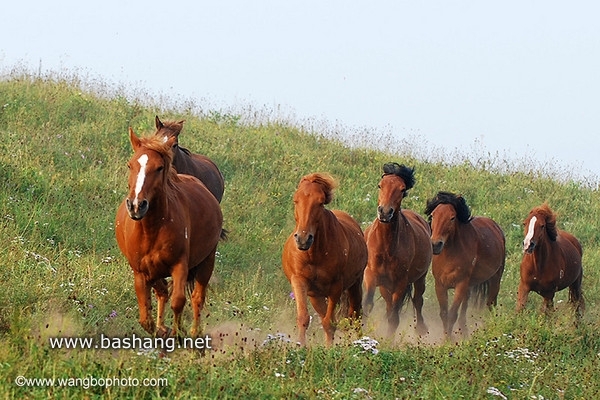 木蘭圍場景點圖片